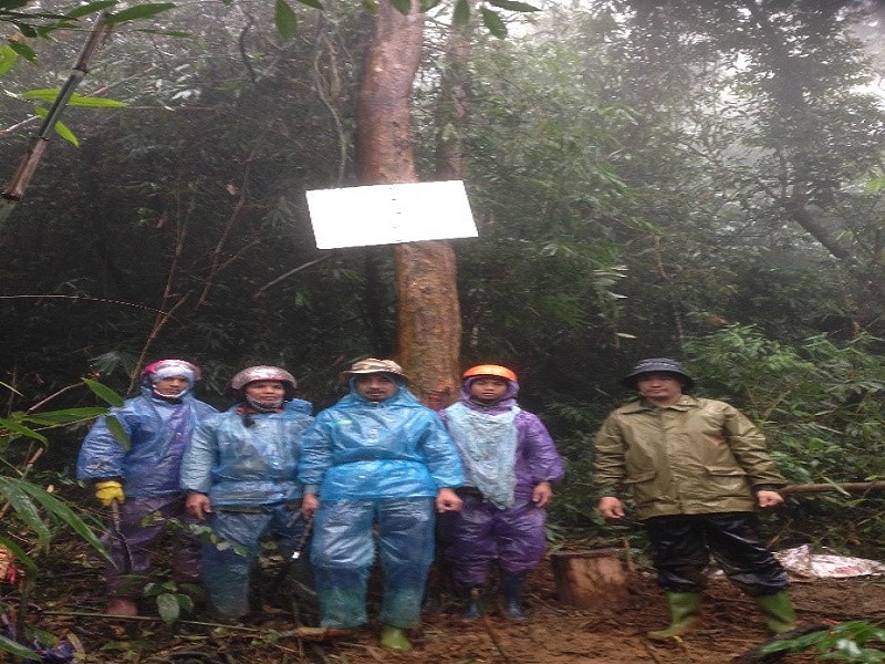 Theo dõi Ô định vị sinh thái rừng quốc gia, số hiệu 169 và 161 tại tỉnh tỉnh Kon Tum
